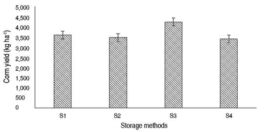Corm yield as affected by corm storage methods. S1 = Freshly harvested propagule, S2 = propagule stored under shade, S3 = propagule stored in pits, S4 = propagule stored on raised platforms.