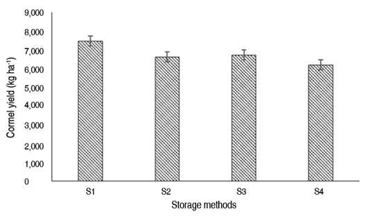 Cocoyam cormel yields as influenced by corm storage methods. S1 = Freshly harvested propagule, S2 = propagule stored under shade, S3 = propagule stored in pits, S4 = propagule stored on raised platforms.