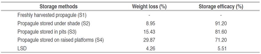 Influence of storage on corms weight loss and the efficiency of the storage conditions.