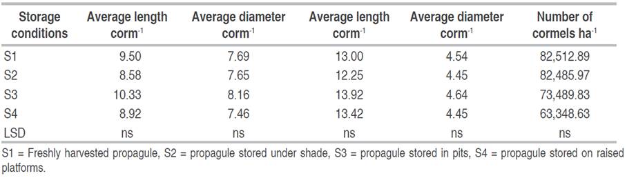 Yield components of cocoyam as affected by the methods of corm storage.