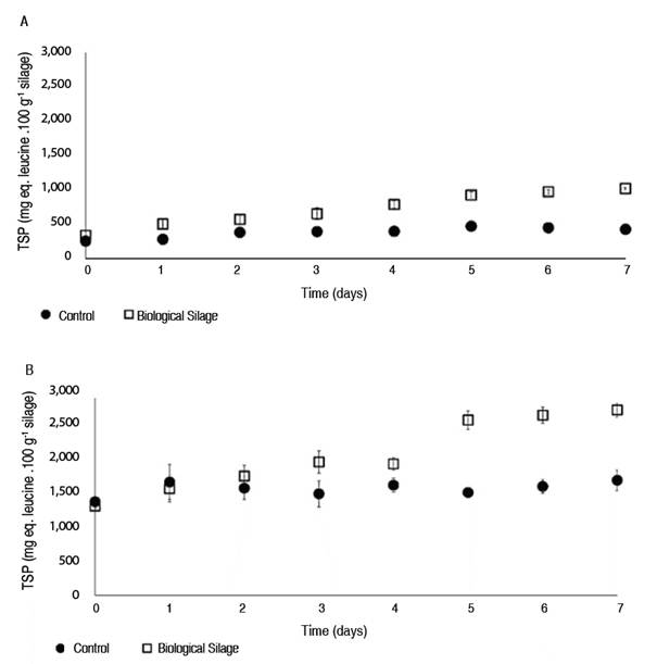 Concentration of soluble peptides in trichloroacetic acid during the fermentation process. The values obtained correspond to the mean and standard deviation in triplicate. A. Fish muscle + whey; B. Fish muscle + residual brewing yeast. 