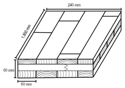 Cross-laminated timber CLT made with Finger Joint.