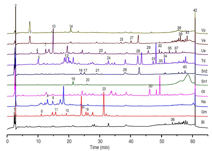 RP-LC-ESI-MS-derived profiles of test extracts: Baccharis latiflolia (Bl), Genista monspessulana (Gm), Nectandra amazonun (Na), Galipea trifoliata (Gt), Solanum nigrum-EC1 (Sn1), Solanum nigrum-EC2 (Sn2), Tithonia diversifolia (Td), Ulex europaeus (Ue), Virola elongata (Ve), Virola peruviana (Vp).