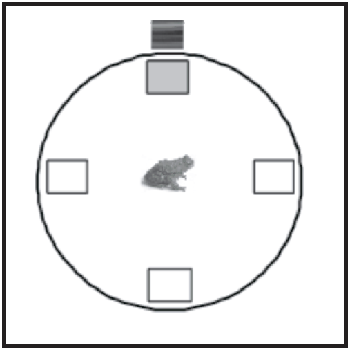 Diagrama de la arena circular empleada en los estudios descriptos en anfibios