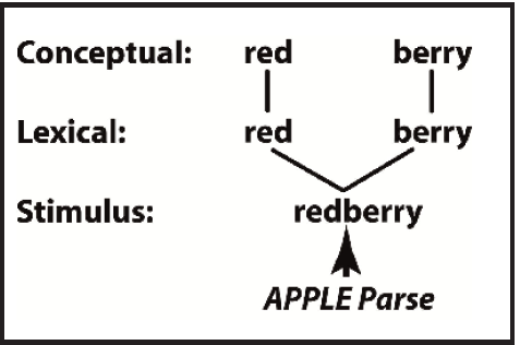 MODELO APPLE
DE PROCESAMIENTO DE COMPUESTOS (LIBBEN, 1994, 1998)