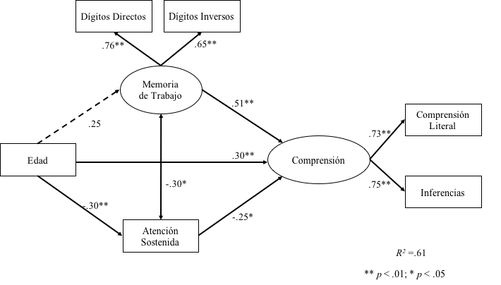 Modelo de relaci&oacute;n entre la edad, la memoria de trabajo, la atenci&oacute;n sostenida y la comprensi&oacute;n.