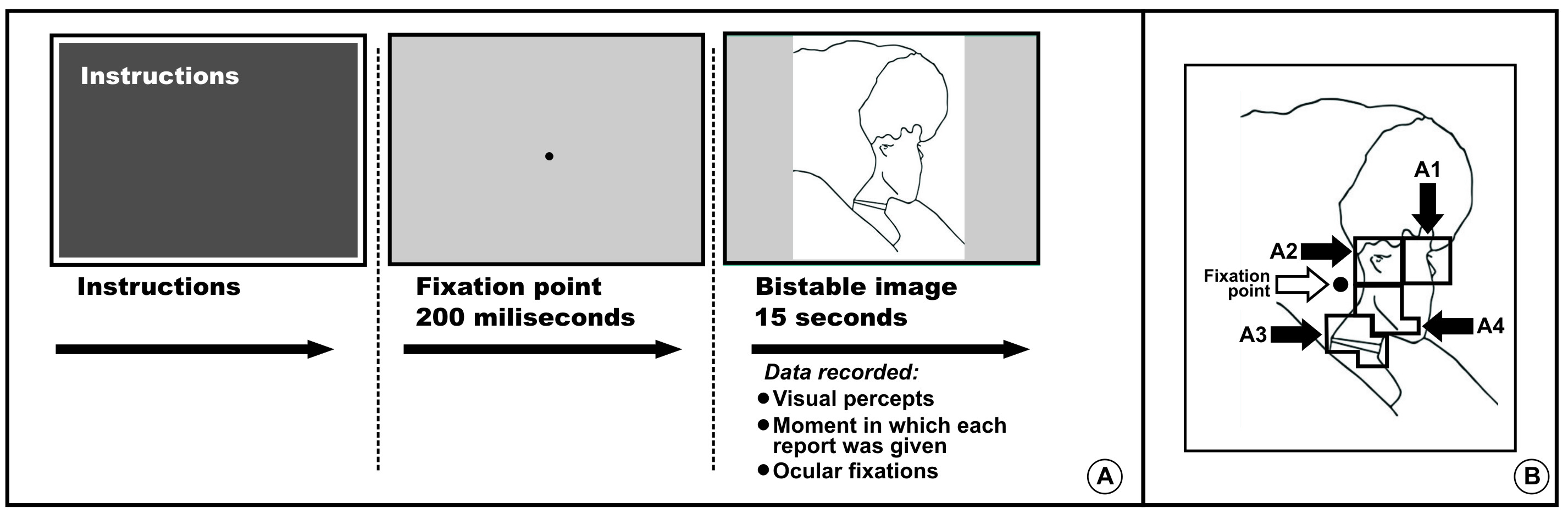 A) The visual task performed by participants on the eye trackers screen. B) The bistable image used with its modulating bottom-up areas plus the neutral fixation point (see it on the leftmost border point just between A2 and A4 areas).