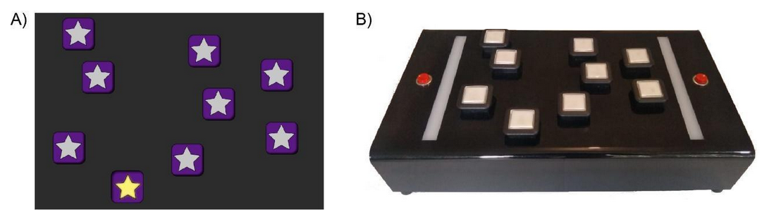 Dispositivos utilizados para administrar la tarea de Bloques de Corsi.