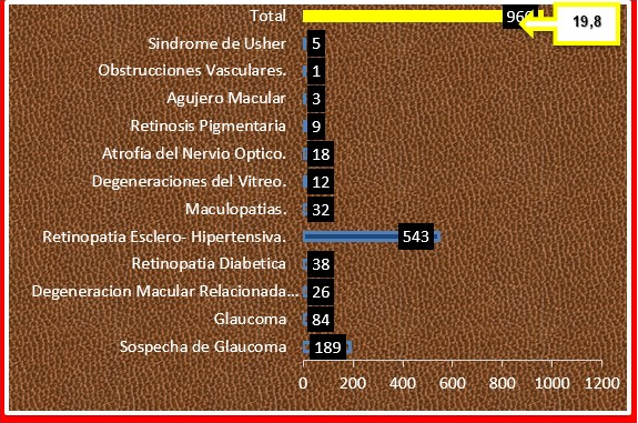 - Afecciones del segmento posterior