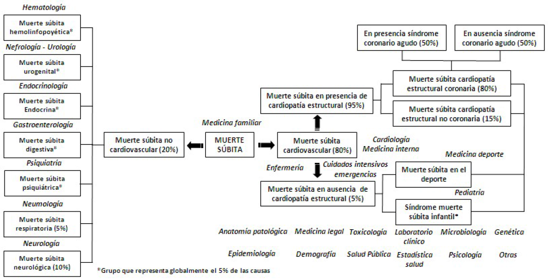 Muerte s&uacute;bita. Multicausalidad y enfoque multidisciplinario de su estudio