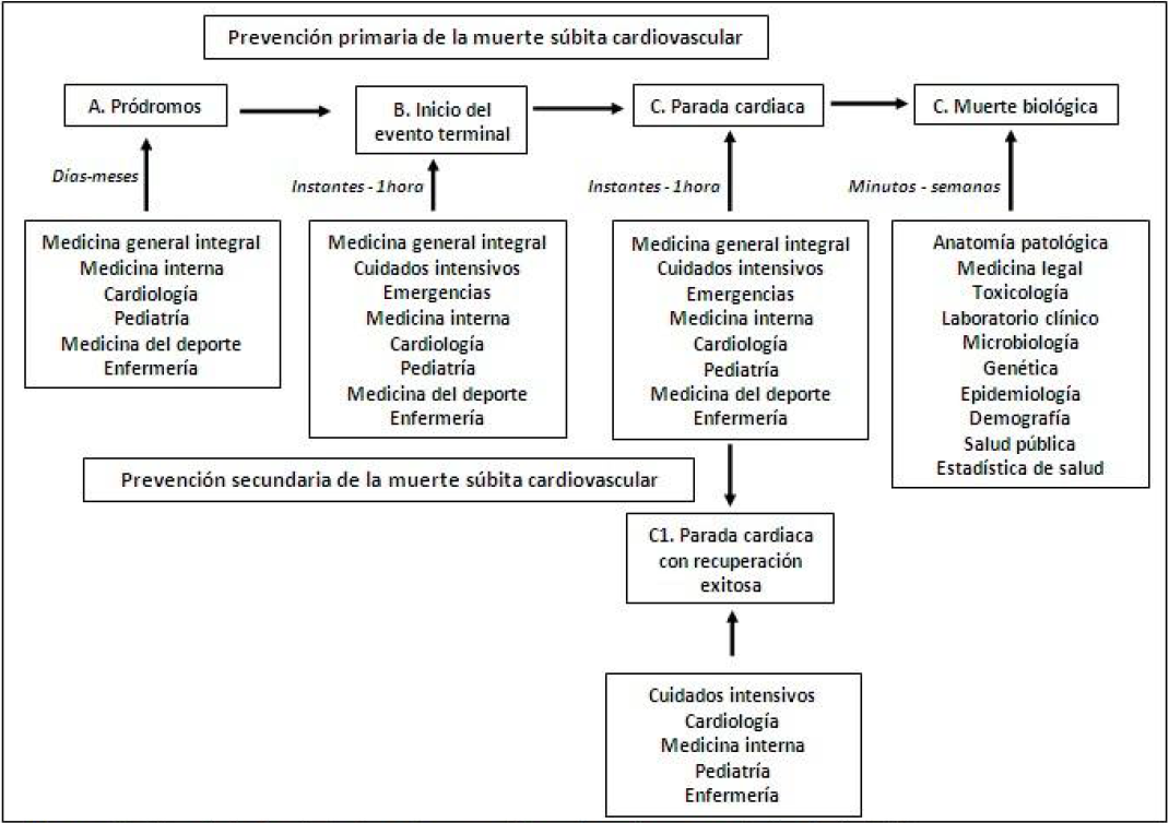 Interdisciplinariedad en la prevenci&oacute;n primaria y secundaria de la MSC