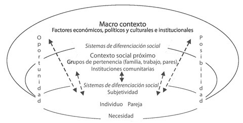 Esquema conceptual para el estudio del proceso de toma de decisiones en torno a la reproducción.
