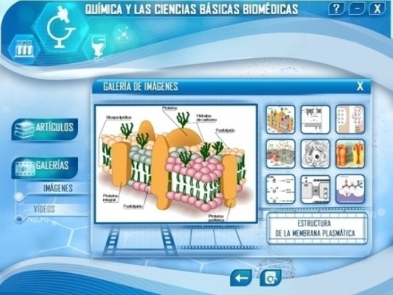 - Pantalla galer&iacute;a de im&aacute;genes.