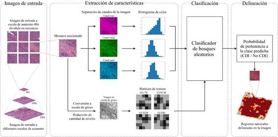 de procesamiento para la detección de CDI.