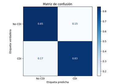 Desempeño del algoritmo de clasificación. Matriz de confusión.