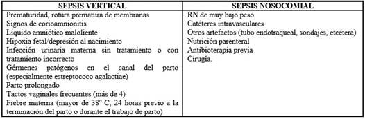 Factores de riesgo para la infección neonatal17,18,20,21