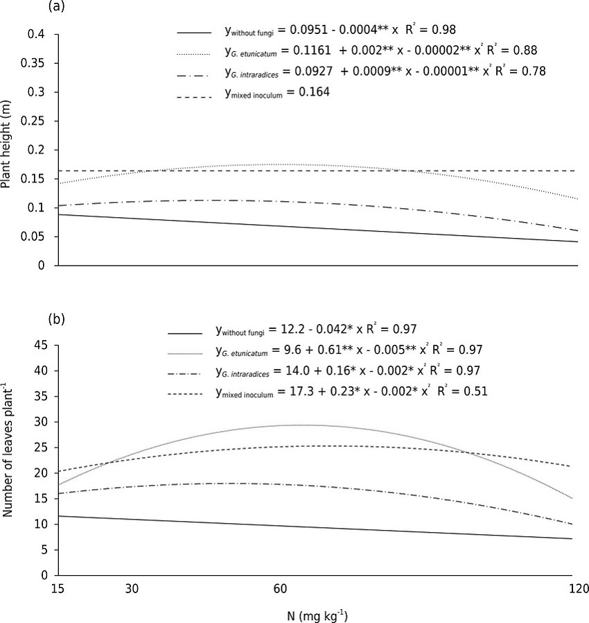 Plant height (m) (a) and number of leaves per plant (b) of Catharanthus roseus plants grown under four different N dosages.