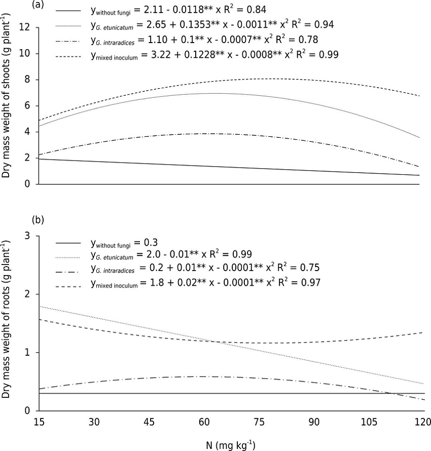 Dry matter of shoots (a) and roots (b) of Catharanthus roseus plants grown under four different N dosages.