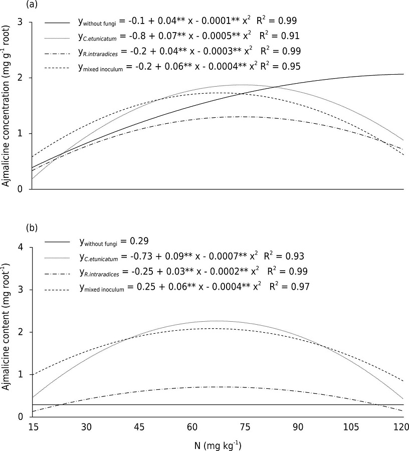 Ajmalicine concentration (a) and content (b) of Catharanthus roseus plants grown under four different N dosages.