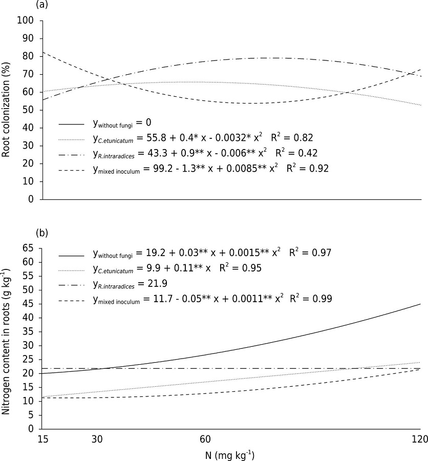 Root colonization (a) and N content (b) in roots of Catharanthus roseus plants grown under four different N dosages.