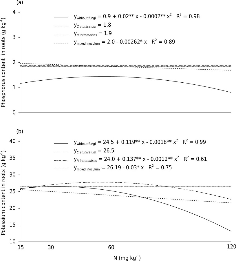 Phosphorus (a) and potassium (b) contents (g kg-1) in roots of Catharanthus roseus plants grown under four different N dosages.