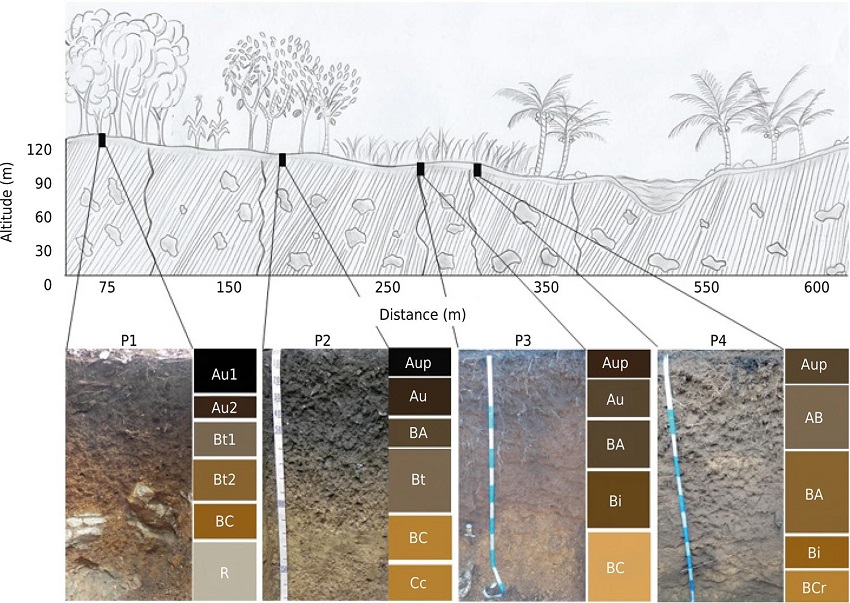 Location of the four profiles of the volcanic toposequence studied in Apu&iacute; (Brazil).