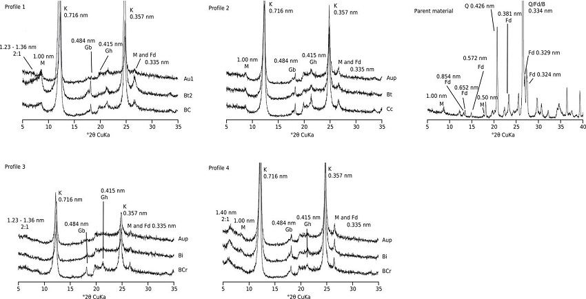 X-ray diffraction (XRD) of the natural clay fraction in the form of oriented aggregates from the A, B, and C horizons/layers and of the parent material. Kaolinite (K), gibbsite (Gb), goethite (Gh), mica (M), feldspars (Fd), smectite (S), vermiculite (V), biotite (B), and quartz (Q).