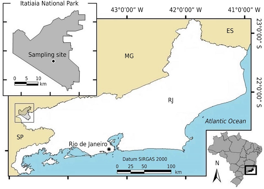 Map of the geographical location of the Itatiaia National Park, state of Rio de Janeiro, southeastern Brazil, and the sampling site.