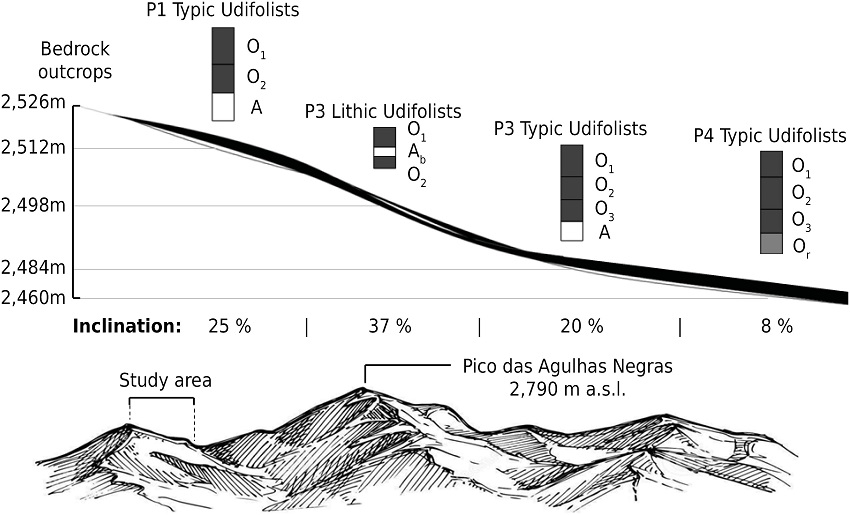 Transect with the points of description and collection of profiles in the Itatiaia National Park, state of Rio de Janeiro, southeastern Brazil. (a.s.l. = above sea level).