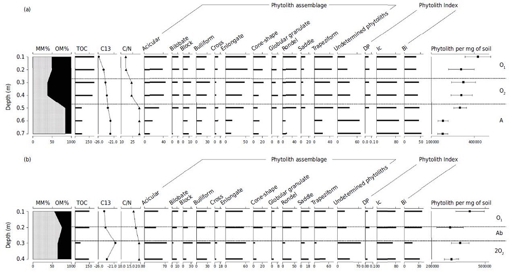 Frequency values of phytoliths identified and indices analyzed in the profiles collected in Itatiaia National Park, state of Rio de Janeiro, southeastern Brazil. (a) P1 Profile = Organossolo Fólico Sáprico típico (Typic Udifolists); (b) P2 Profile = Neossolo Litólico Hístico típico (Lithic Udifolists); (c) P3 Profile = Organossolo Fólico Sáprico típico (Typic Udifolists); (d) P4 Profile = Organossolo Fólico Sáprico típico (Typic Udifolists).