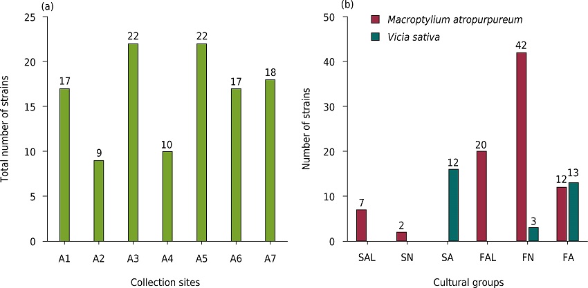 Number of isolated bacterial strains from coal-mined areas (a). Group distribution of the 115 isolates based on colony growth rate (time) and pH variation (b). SAL = slow growth, and alkaline pH; SN = slow growth and neutral pH; SA = slow growth and acid pH; FAL = fast growth and alkaline pH; FN = fast growth and neutral pH; FA = fast growth and acid pH.