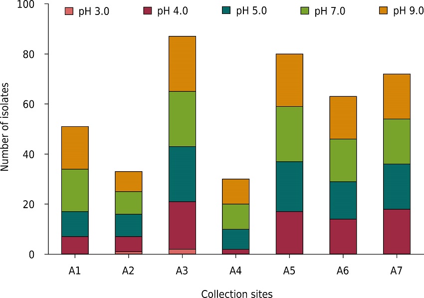 Number of pH tolerant bacterial isolates from each representative area.