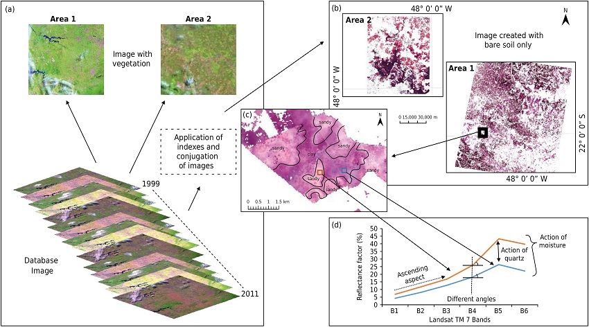 Simulation of the database image used in construction of the bare soil mask. There are images with maximum plant cover (a); the bare soil mask of the two study areas (b); detail of an exposed soil region in which it is possible to differentiate sandy and clayey areas (c); point spectral response of the pixel taken from the sandy and clayey region (d).