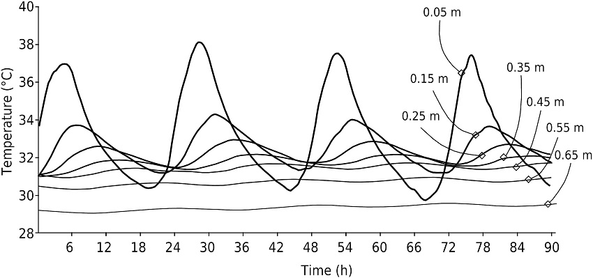 Temperature variation in soil at different depths regarding time. This experiment was conducted from August 7-11, 2013 at Universidad Veracruzana Campus Coatzacoalcos, Veracruz, Mexico.