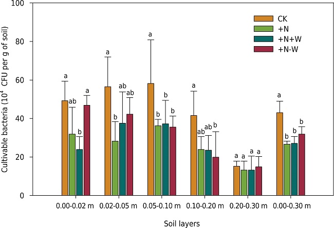 The number of cultivable bacteria at each soil layer in different treatment groups. Note: numbers with the same letter are not significantly different at p<0.05.