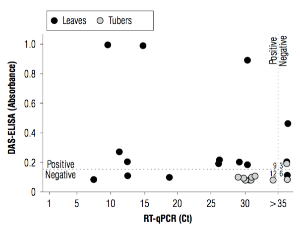 Correlation between the DAS-ELISA results and the RT-qPCR detection of PVS using primers PVS_gen_F and qPVS_gen_R. Open and closed circles correspond to leaf and tuber samples, respectively; lines indicate the threshold values at which each test was considered to be positive.