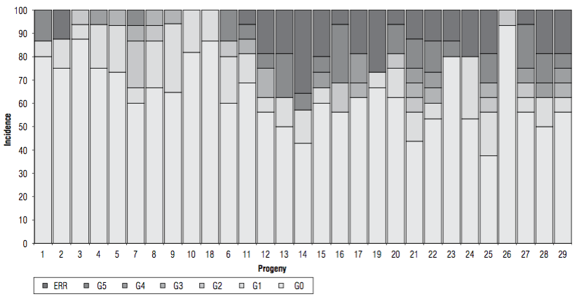 Bud rot incidence and severity of 29 oil palm progenies one year after planting in a high inoculum pressure site. ERR: eradicated palms. G1 to G5 degree of severity according to the Mart&iacute;nez and Torres (2007) severity scale. G0: palms without symptoms. From left to right, 1 to 18 interspecific OxG hybrids Coari &times; La Me, 6 to 29 E. guineensisdura type progenies.