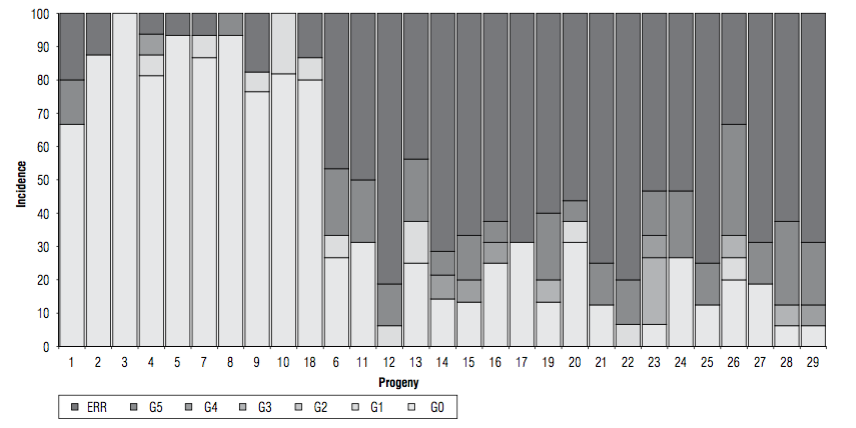 Bud rot incidence and severity of 29 oil palm progenies two years after planting in a high inoculum pressure site. ERR: eradicated palms. G1 to G5 degree of severity according to the Mart&iacute;nez and Torres (2007) severity scale. G0: palms without symptoms. From left to right, 1 to 18 interspecific OxG hybrids Coari &times; La Me, 6 to 29 E. guineensis dura type palms.