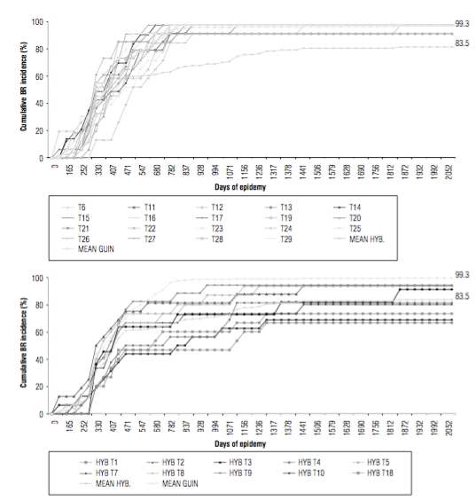 Bud rot cumulative incidence of 29 oil palm progenies evaluated between June 2007 and April 2013. Each curve represents a different progeny. A, E. guineensis dura type progenies; B, interspecific OxG hybrids. HYB corresponds to interspecific OxG hybrids Coari &times; La Me. T corresponds to E. guineensis dura type progenies. In both graphs, the average cumulative incidence for the hybrids of dura progenies is shown.