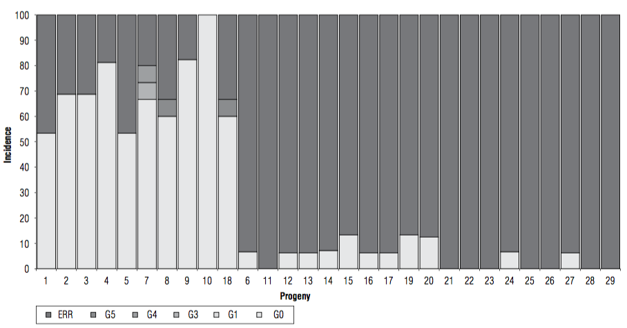 BR incidence and severity of 29 oil palm progenies 6 years after planting in a high inoculum pressure site. ERR: eradicated palms. G1 to G5 degree of severity according to the Mart&iacute;nez and Torres (2007) severity scale. G0: palms without symptoms. From left to right, 1 to 18 interspecific OxG hybrids Coari &times; La Me, 6 to 29 E. guineensis dura type progenies.