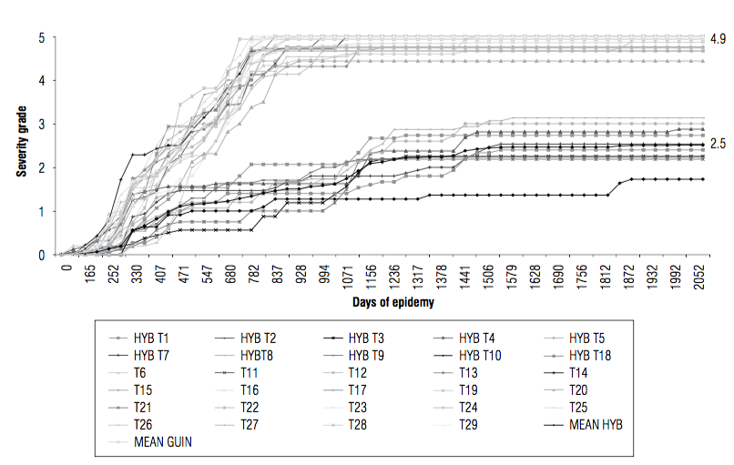 Bud rot severity progression curves of 29 oil palm progenies evaluated between June 2007 and April 2013. Each curve represents a different progeny. HYB corresponds to interspecific OxG hybrids Coari &times; La Me. T corresponds to E. guineensis dura type progenies. Severity was assessed according to the Mart&iacute;nez and Torres (2007) severity scale.