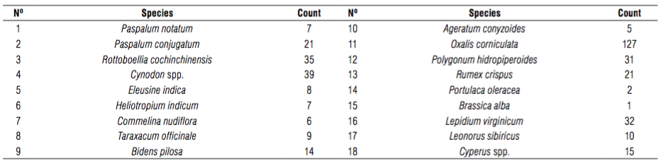 Scientific names and frequency of appearance of the weeds based on the sampling.