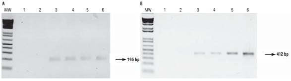 parental 81 (non-GM), 3: parental 28 (GM), 4: hybrid 286 x 285, 5: hybrid 288 x 287, 6: hybrid 289 x 290.