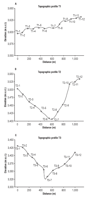 Topographic profiles of the measuring transect. A. Transect 1; B. Transect 2, and C. Transect 3.