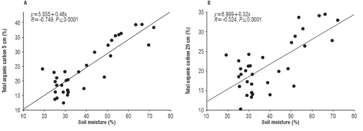 Relationship between the Hs and the TOC to the 5 cm (A) and 20 cm depth (B).