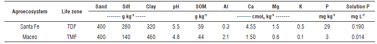 Relative distribution of AMF genera in two agroecosystems of cacao.