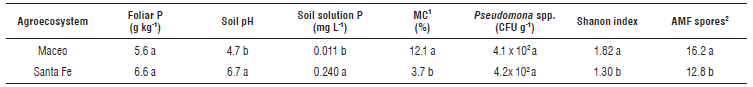 Indoleacetic acid produced by different isolates of fluorescent Pseudomonas sp. isolated from cacao rhizospheres; C = control ino culated with R. solanacearum. T1-T10 = number of isolated strains. Means with different letters indicate significant differences according to the Tukey test (P<0.05).