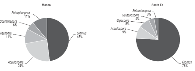 Variables evaluated in the two agroecosystems.