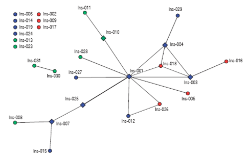 1-mode network of collaboration between institutions. Color legends: blue nodes: public institutions; red nodes: private institutions; green nodes: other type (NGOs, independent and trade unions). Legend of shapes: diamond nodes: intermediating actors; circular nodes: non-intermediating actors.
