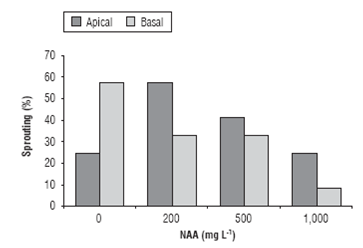 Percentage of sprouting in Cavendishia bracteata cuttings treated with different concentrations of NAA.